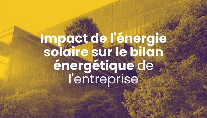 Impact de l énergie solaire sur le bilan énergétique de l entreprise