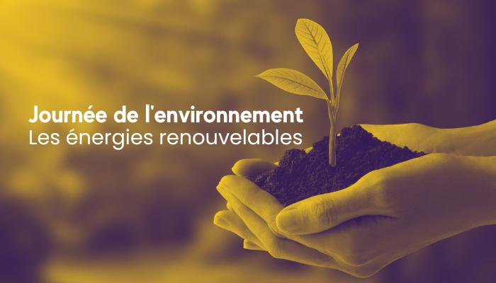 Journée de l’environnement : les énergies renouvelables